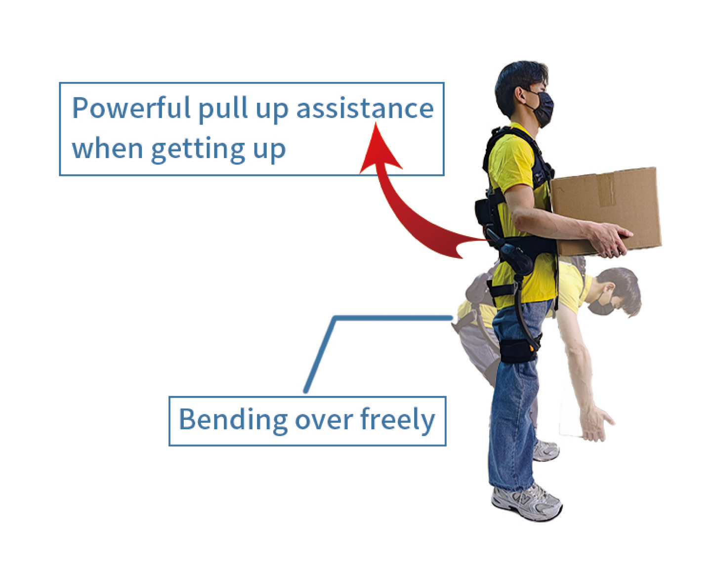 Lumbar Support Robot Ant-Y1