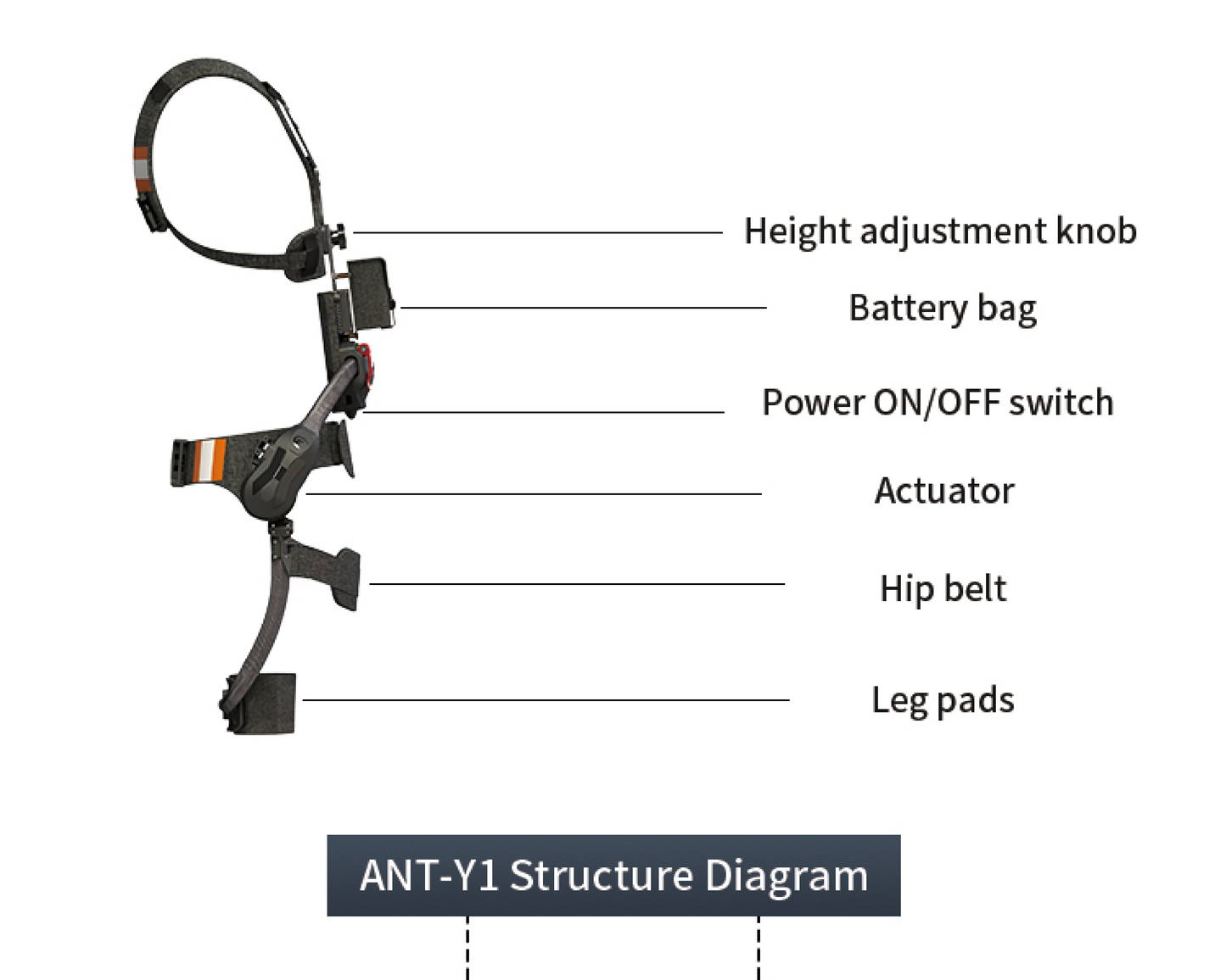 Lumbar Support Robot Ant-Y1